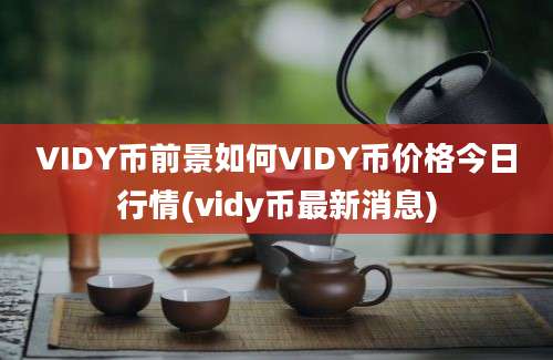 VIDY币前景如何VIDY币价格今日行情(vidy币最新消息)