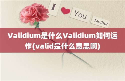 Validium是什么Validium如何运作(valid是什么意思啊)