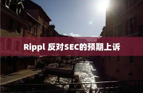 Rippl 反对SEC的预期上诉