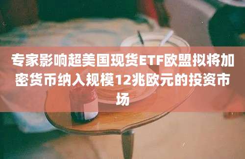 专家影响超美国现货ETF欧盟拟将加密货币纳入规模12兆欧元的投资市场