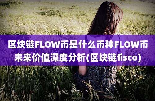 区块链FLOW币是什么币种FLOW币未来价值深度分析(区块链fisco)