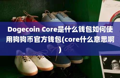 Dogecoin Core是什么钱包如何使用狗狗币官方钱包(core什么意思啊)