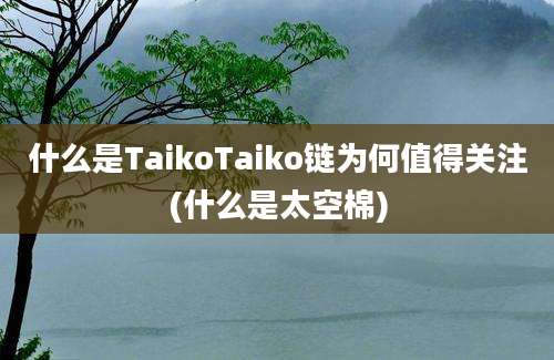 什么是TaikoTaiko链为何值得关注(什么是太空棉)