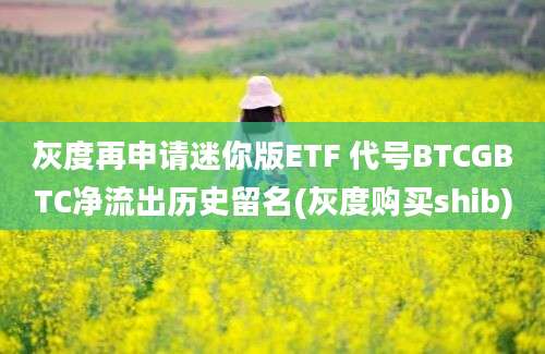 灰度再申请迷你版ETF 代号BTCGBTC净流出历史留名(灰度购买shib)