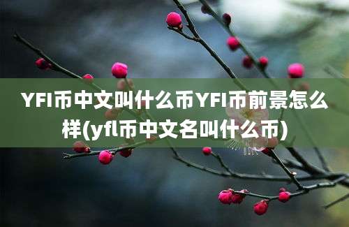 YFI币中文叫什么币YFI币前景怎么样(yfl币中文名叫什么币)