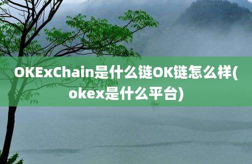 OKExChain是什么链OK链怎么样(okex是什么平台)