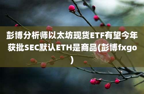 彭博分析师以太坊现货ETF有望今年获批SEC默认ETH是商品(彭博fxgo)