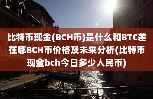 比特币现金(BCH币)是什么和BTC差在哪BCH币价格及未来分析(比特币现金bch今日多少人民币)