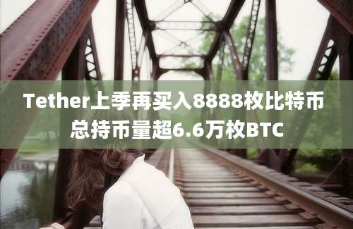 Tether上季再买入8888枚比特币 总持币量超6.6万枚BTC