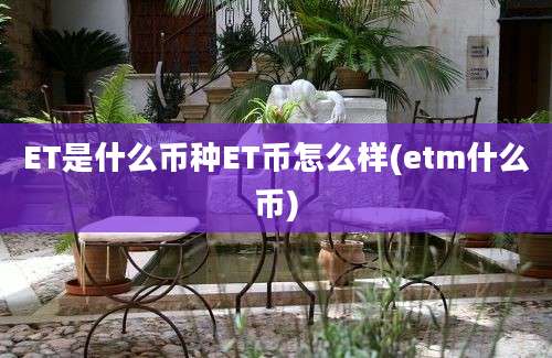 ET是什么币种ET币怎么样(etm什么币)