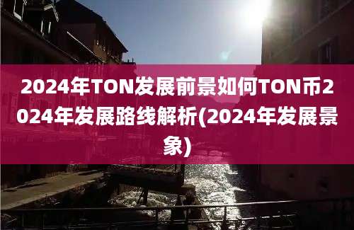 2024年TON发展前景如何TON币2024年发展路线解析(2024年发展景象)