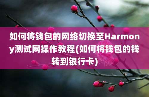 如何将钱包的网络切换至Harmony测试网操作教程(如何将钱包的钱转到银行卡)