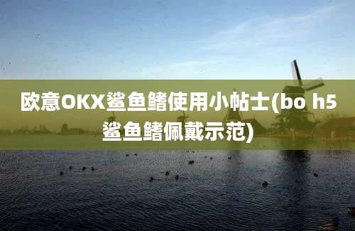 欧意OKX鲨鱼鳍使用小帖士(bo h5鲨鱼鳍佩戴示范)