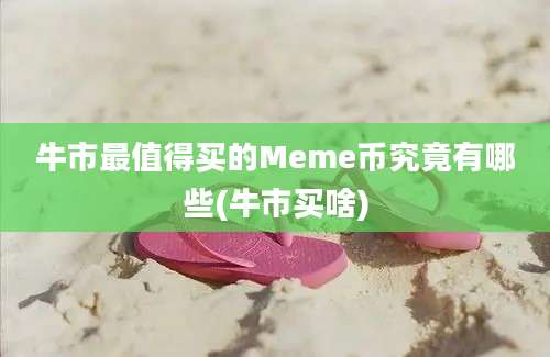 牛市最值得买的Meme币究竟有哪些(牛市买啥)