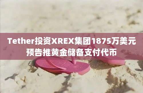 Tether投资XREX集团1875万美元预告推黄金储备支付代币