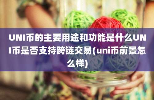 UNI币的主要用途和功能是什么UNI币是否支持跨链交易(uni币前景怎么样)