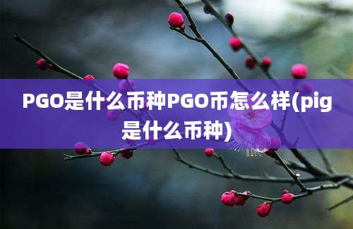 PGO是什么币种PGO币怎么样(pig是什么币种)