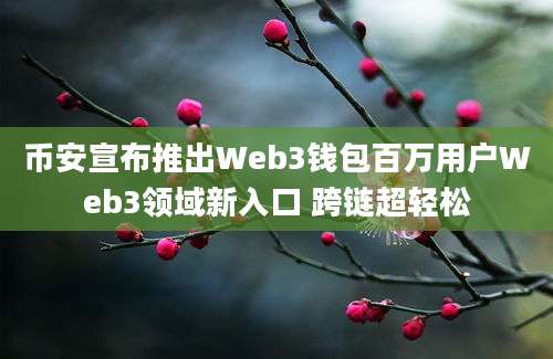 币安宣布推出Web3钱包百万用户Web3领域新入口 跨链超轻松