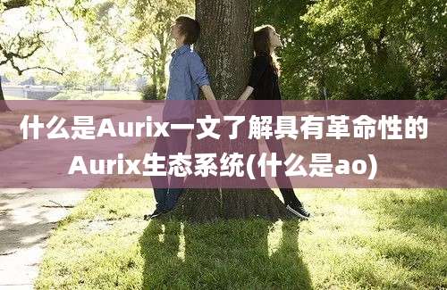 什么是Aurix一文了解具有革命性的Aurix生态系统(什么是ao)