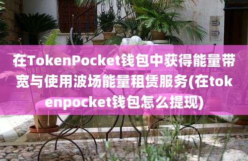 在TokenPocket钱包中获得能量带宽与使用波场能量租赁服务(在tokenpocket钱包怎么提现)