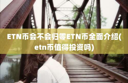 ETN币会不会归零ETN币全面介绍(etn币值得投资吗)