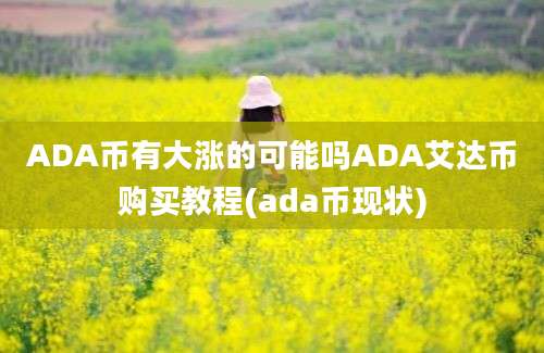 ADA币有大涨的可能吗ADA艾达币购买教程(ada币现状)