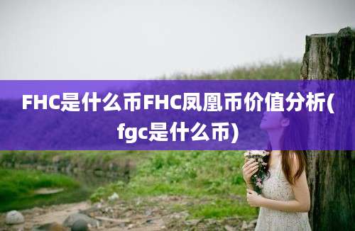 FHC是什么币FHC凤凰币价值分析(fgc是什么币)