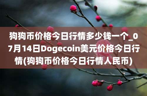 狗狗币价格今日行情多少钱一个_07月14日Dogecoin美元价格今日行情(狗狗币价格今日行情人民币)