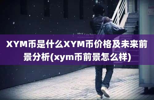 XYM币是什么XYM币价格及未来前景分析(xym币前景怎么样)