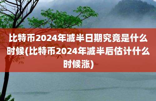 比特币2024年减半日期究竟是什么时候(比特币2024年减半后估计什么时候涨)