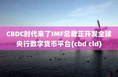 CBDC时代来了IMF总裁正开发全球央行数字货币平台(cbd cld)