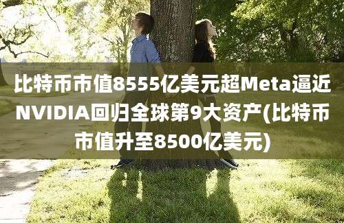 比特币市值8555亿美元超Meta逼近NVIDIA回归全球第9大资产(比特币市值升至8500亿美元)