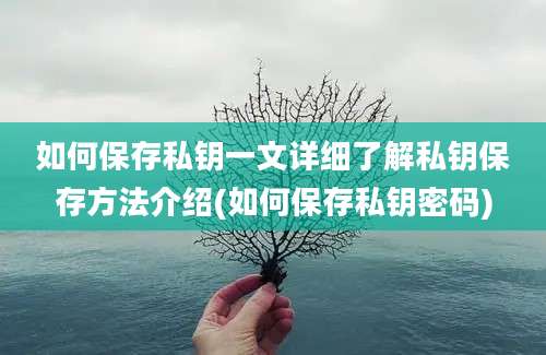 如何保存私钥一文详细了解私钥保存方法介绍(如何保存私钥密码)