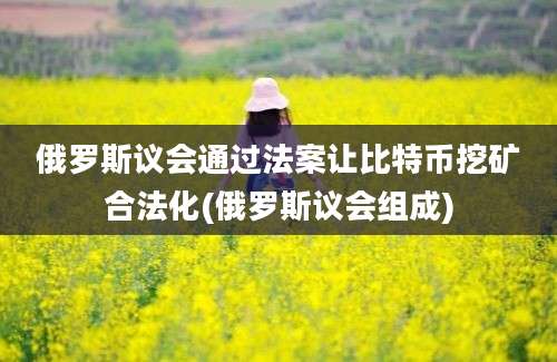 俄罗斯议会通过法案让比特币挖矿合法化(俄罗斯议会组成)