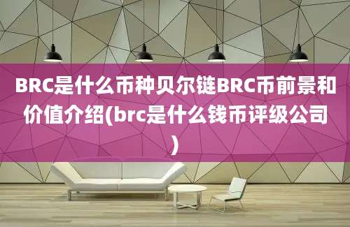 BRC是什么币种贝尔链BRC币前景和价值介绍(brc是什么钱币评级公司)