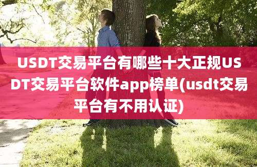 USDT交易平台有哪些十大正规USDT交易平台软件app榜单(usdt交易平台有不用认证)