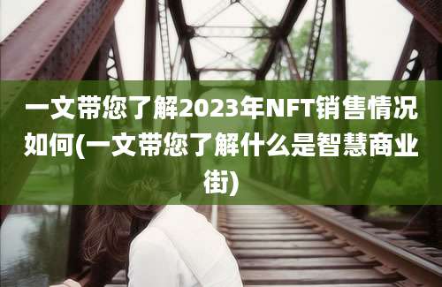 一文带您了解2023年NFT销售情况如何(一文带您了解什么是智慧商业街)