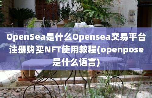 OpenSea是什么Opensea交易平台注册购买NFT使用教程(openpose是什么语言)