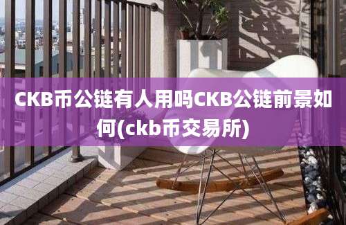 CKB币公链有人用吗CKB公链前景如何(ckb币交易所)