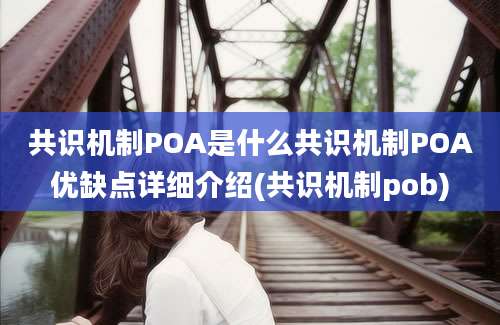 共识机制POA是什么共识机制POA优缺点详细介绍(共识机制pob)