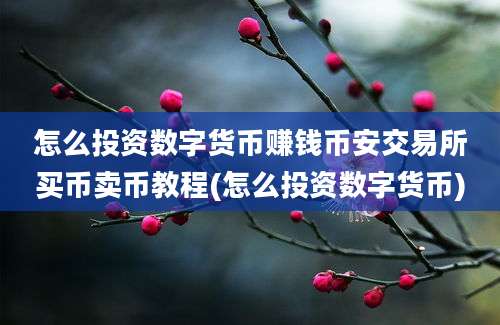 怎么投资数字货币赚钱币安交易所买币卖币教程(怎么投资数字货币)