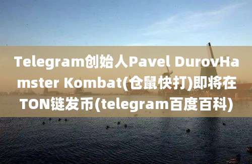 Telegram创始人Pavel DurovHamster Kombat(仓鼠快打)即将在TON链发币(telegram百度百科)