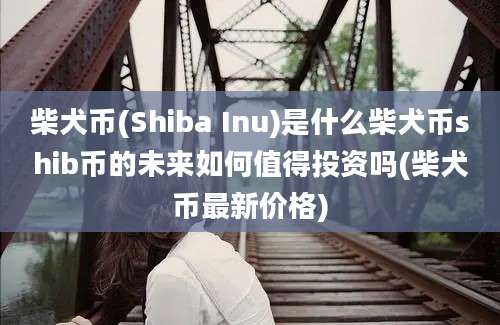 柴犬币(Shiba Inu)是什么柴犬币shib币的未来如何值得投资吗(柴犬币最新价格)