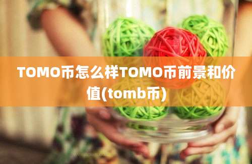 TOMO币怎么样TOMO币前景和价值(tomb币)