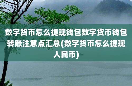 数字货币怎么提现钱包数字货币钱包转账注意点汇总(数字货币怎么提现人民币)