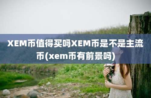 XEM币值得买吗XEM币是不是主流币(xem币有前景吗)