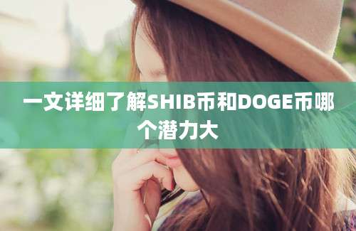 一文详细了解SHIB币和DOGE币哪个潜力大