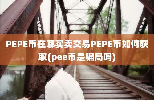 PEPE币在哪买卖交易PEPE币如何获取(pee币是骗局吗)