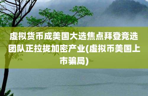 虚拟货币成美国大选焦点拜登竞选团队正拉拢加密产业(虚拟币美国上市骗局)