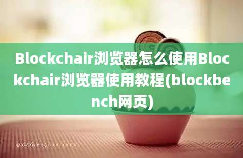 Blockchair浏览器怎么使用Blockchair浏览器使用教程(blockbench网页)